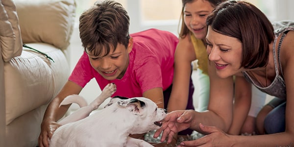 Mum, daughter and son with their new puppy